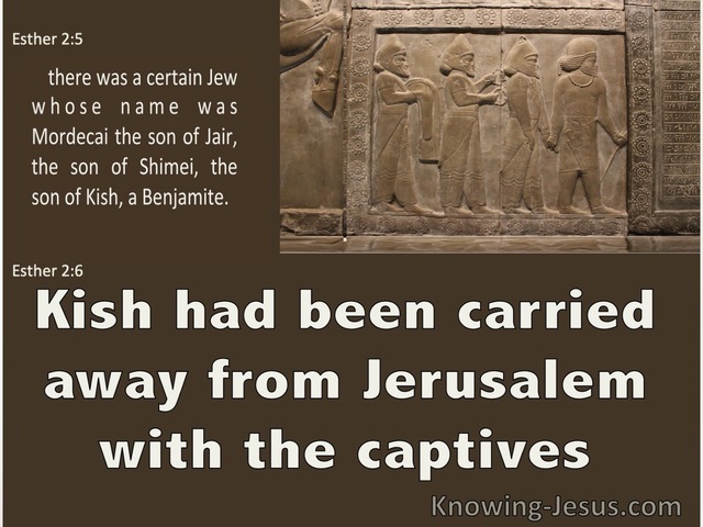 Esther 2:6 Kish Had Been Carried Away Into Exile (brown)